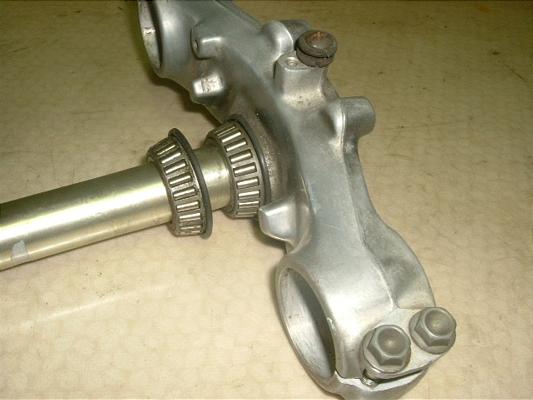 WFx250XC/ DJEBEL   Xe