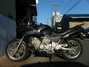 HONDA/z_ [rX250/XELVIS@MC25-1003