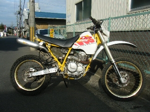 SUZUKI/XYL@DR250SH(91')  SJ44A-1064