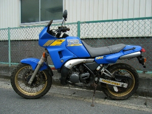 }n/YAMAHA TDR250@2YK-0710