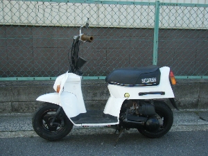 HONDA/z_@XJbV50(12V)/SQUASH(81') AB11-1052