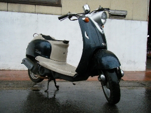 YAMAHA/}n@r[m50/VINO  5AU-0558
