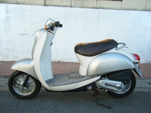 HONDA/z_ XN[s[50  AF55-1001