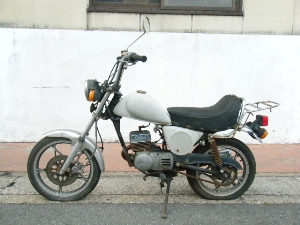 SUZUKI/XYL  }^50i6Vj OR50-1265