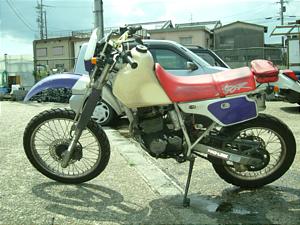 HONDA/z_ @XLR250@MD22-1600