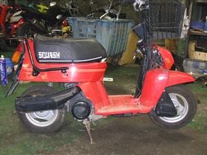 HONDA/ホンダ スカッシュ50 AB11-1028
