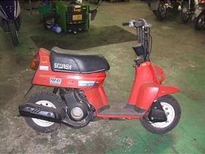 HONDA/ホンダ スカッシュ50(12V) AB11-1066