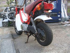 YAMAHA/ヤマハ チャッピィ 50 439-7679