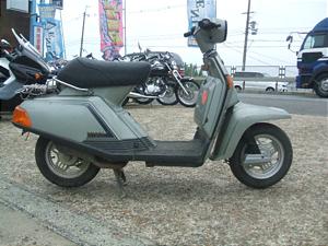 YAMAHA BELUGA/ベルーガ50 5G6-3137