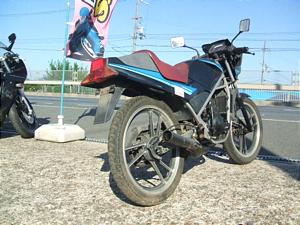 SUZUKI RG GAMMA 50 /RGガンマ NA11A-1442