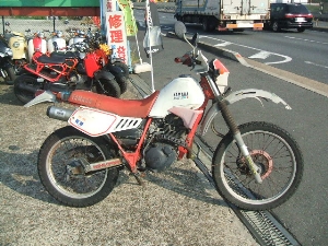 YAMAHA/}n SERROW/Z[225 1KH-0009