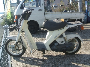 SUZUKI/XYL MOLLET/bg50 FA14A-1417