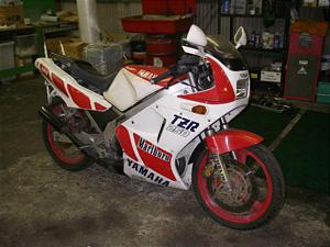 YAMAHA/ヤマハ TZR250 1KT-0271