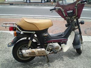 HONDA CHALY70/シャリー CF50-3013