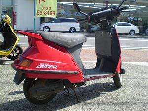 HONDA -LEADER50 [_[50  AF03-1013