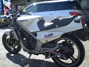 KAWASAKI  KR250  KR250A-0037