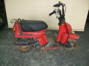 HONDA/z_ XJbV50i12V)/SQUASH@AB11-1069
