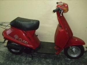 YAMAHA/}n L[g50i12V)/CUTE@53L-1343