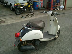 HONDA SCOOPY 50 /スクーピー 50 AF55-1017