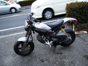 SUZUKI/XYL Xg[g}WbN50/STREET MAGIC@CA1LA-1016