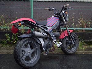 SUZUKI STREET MAGIC 50/ストリートマジック50 CA1LB-1095
