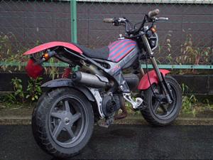 SUZUKI  STREET MAGIC 50/Xg[g}WbN50   CA1LB-1095