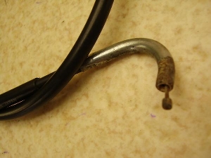 `Cm/ choinori  `[NC[ CZ41A-1225