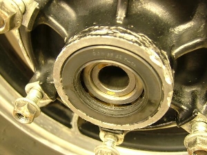 G~l[^[250/ ELIMINATOR AzC[ EL250A-0272