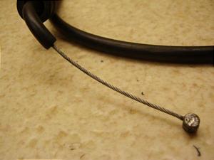 Z[225/ SEROW225 ANZC[ 1KH-0406