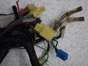 |bvM(6V)/ POPGAL  Cn[lX 17J-1502