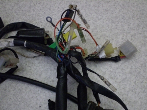 o[fB[90X(12V)/ Birdie  Cn[lX BD42A-1029