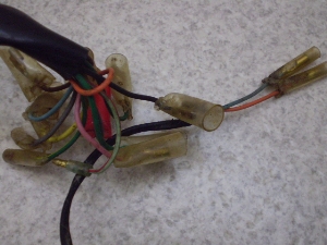 m[eB_bNX(6V)/ NAUTY DAX Cn[lX CY50-1107