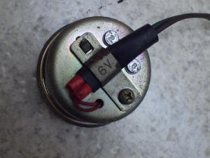 x[K50/ BELUGA  ECJ[uU[(6V) 5G6-3143