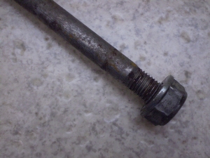 Wm/ GIORNO  tgANXVtg AF24-1550