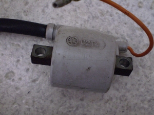 |bvM50/ POPGAL  COjbVvOR[h (6V) 17J-1305