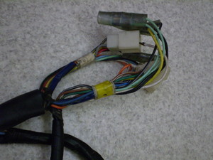 o[fB[50(6V)/ Birdie Cn[lX FR50-6511