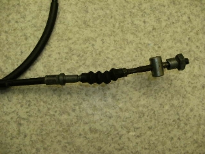C50/ Cu/ eve50  tgu[LC[ AF06-1303