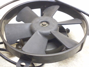 XeB[h400/ STEED  WG^[t@ NC26-1471