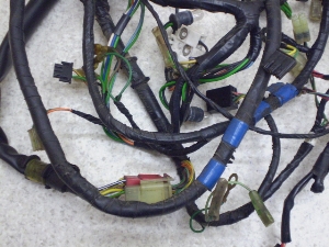 fBIZX50/ DIO ZX  Cn[lX AF35-1217