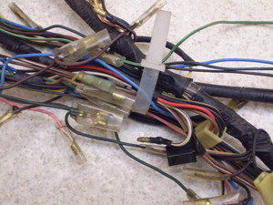 pb\50(6V)/ Passol  Cn[lX 2E9-4637