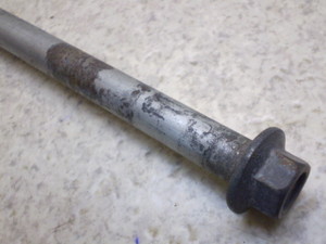 X[p[Ju50(12V)/ Super Cub/ CUB50  AANXVtg C50-0616