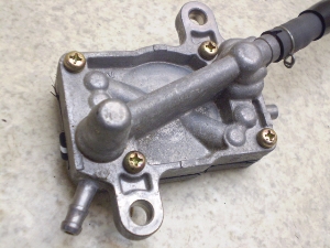 WI50/ JULIO (12V) RbN AF52-1000