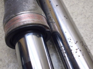 Z[225/ SEROW225 tgtH[NE 1KH-0048