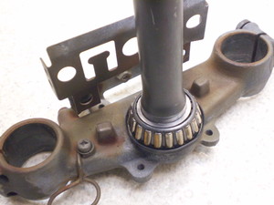 Z[225/ SEROW225 Xe 1KH-0048