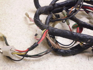 `v50/ CHAMP  Cn[lX 54V-3763