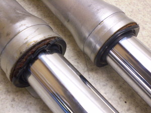 Z[225/ SEROW225 tgtH[NE 4JG-1131