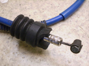 Z[225/ SEROW225 Nb`C[ 4JG-1131