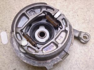 `Cm/ choinori  tgu[Lh CZ41A-1734
