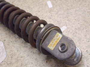 XJbV50/ SQUASH  ATXyV AB11-1039