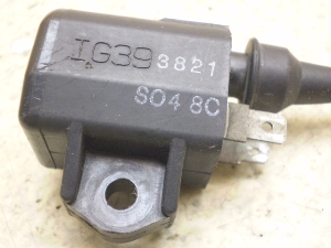xf/ Ff/ Verde  COjbVvOR[h CA1MA-1063